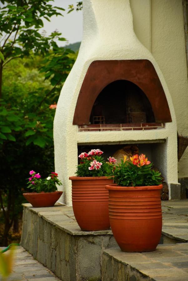 Villa Monte Kariotes Σαμοθράκη Εξωτερικό φωτογραφία
